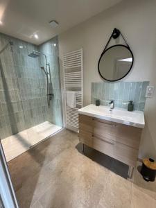une salle de bains avec douche, lavabo et miroir dans l'établissement Les Gîtes du Colombier, à Ollé 20 autres photos