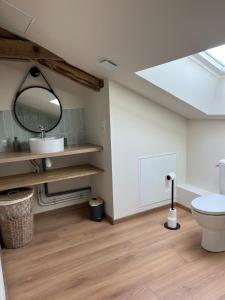 une salle de bain avec toilettes et puits de lumière dans l'établissement Les Gîtes du Colombier, à Ollé