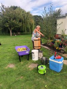 Eine Frau steht mit einem Korb Äpfeln in einem Hof. in der Unterkunft Home Thyme Holding in Upwell