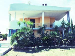 a house with palm trees in front of it at B&B Villa Maya in Termoli