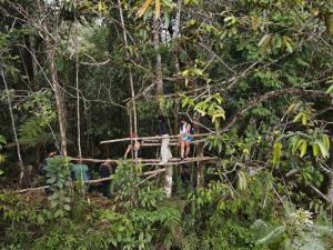 Φυσικό τοπίο κοντά σε αυτό το ξενοδοχείο
