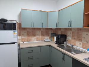 沃利乌格乡Casa Alex的带白色橱柜和水槽的厨房