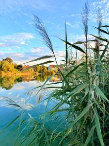Blick auf das Wasser mit Gras im Vordergrund in der Unterkunft Seehaus 22- Lake house with private beach in Grafenwörth