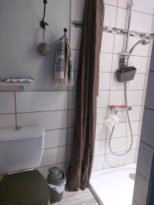 a bathroom with a shower curtain and a toilet at Maison 6 personnes in Barbâtre