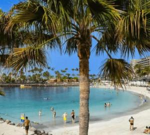 eine Palme am Strand mit Menschen im Wasser in der Unterkunft Luxe Loma 2 in Mogán