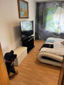 Μια τηλεόραση ή/και κέντρο ψυχαγωγίας στο Blaue Reisen Gasthaus