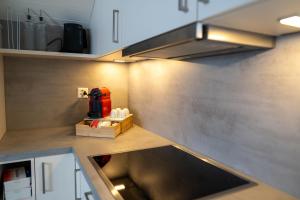 encimera de cocina con fregadero y batidora en Lakefront Grand Residence, en Ligerz