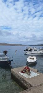 a group of boats docked in a body of water at Apartman Villy 2 in Jadranovo +23 photos