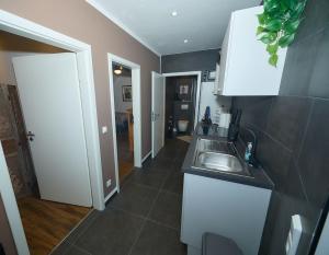 eine Küche mit Spüle und Arbeitsplatte in der Unterkunft gemütliche 3 Zimmerwohnung mit 2 Einzelbetten, Doppelbett für Monteure geeignet in Hohenmölsen