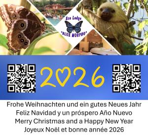 CárdenasEcolodge Blue Morpho的一张动物园宣传单，上面有熊和蝴蝶