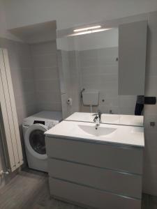 Un baño con lavabo y lavadora. en Appartamento a MXP Aeroporto-Via Mameli, en Somma Lombardo