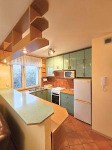 Η κουζίνα ή μικρή κουζίνα στο Mieszkanie przy Monte Casino