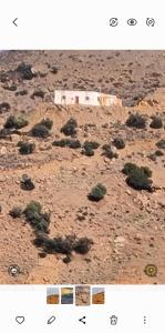 a model of a desert with bushes and a building at Hotel bio in Al Hoceïma