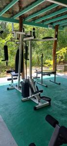 eine Gruppe von Trainingsgeräten auf einem grünen Teppich in der Unterkunft GreenSenz Resort & Hostel-Sigiriya in Sigiriya