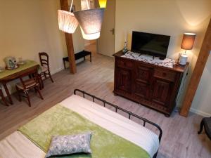 TV/trung tâm giải trí tại Maison d'hôtes Près de la Grenouillère