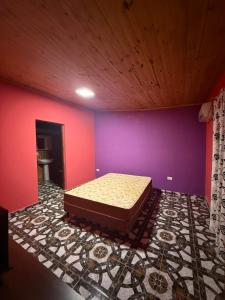 a bedroom with a bed in a colorful wall at Quinta La Ramona in Candelaria +13 photos