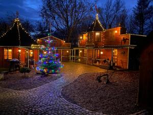 VojensKlondike City的房子院子中的圣诞树