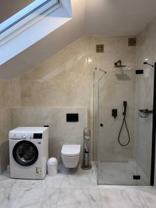a bathroom with a shower and a toilet and a washing machine at Wynajmowanie pokoi in Szczyglice +15 photos