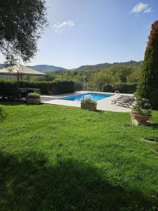 Il Casale del Conte في Fratta Todina: مسبح في ساحة مع حديقة خضراء
