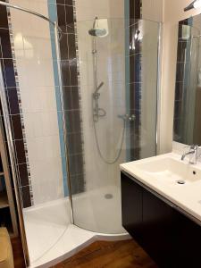 Le charme du Puy dans une ancienne verrerie في لو بوي: حمام مزود بدش ومغسلة