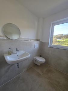 a bathroom with a sink and a toilet and a mirror at Malerischer Panoramablick Worgberg in Ingelfingen
