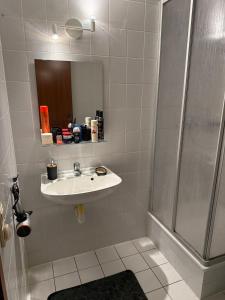 ein Badezimmer mit Waschbecken und Dusche in der Unterkunft 2 Soul Appart in Dresden