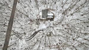 Great CacaponDog-Friendly w Hot Tub, Fire Pit & River Access的从高处俯瞰一棵积雪覆盖的树