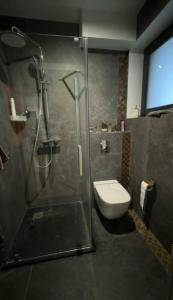 łazienka z prysznicem i toaletą w obiekcie B&B wroclaw we Wrocławiu