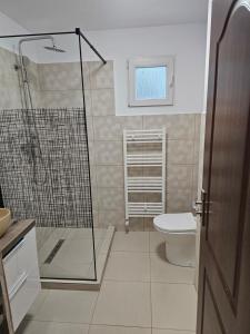 ein Badezimmer mit Dusche und Toilette in der Unterkunft Ascunzis in Bicaz + 12 Fotos