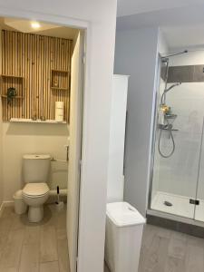 FumelにあるVilla Margotのトイレとシャワー付きのバスルーム