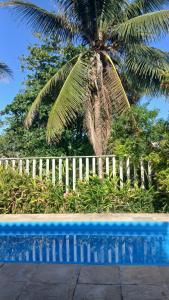 una panchina blu accanto a una staccionata bianca e una palma di Pousada Natureza a Cabo Frio