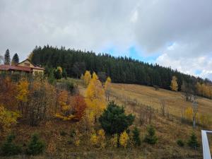ein Haus auf einem Hügel mit Bäumen im Hintergrund in der Unterkunft Aparthotel Apartamenty Czarna Góra 307 in Heudorf