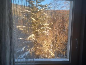 Φωτογραφία από το άλμπουμ του Gostišče Jelka σε Hočko Pohorje