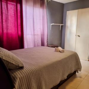 Postel nebo postele na pokoji v ubytování Comfortable Independent Apartment Downtown Ccs