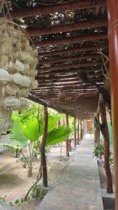 a wooden structure with plants and a sidewalk at Pousada Imperio dos Bambus in Jijoca de Jericoacoara