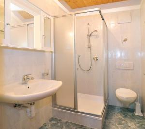 a bathroom with a shower and a sink and a toilet at Apartment Walder in Fiumes
