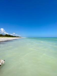 Phong cảnh thiên nhiên gần căn hộ