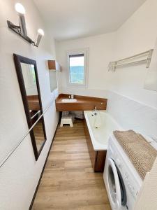 un bagno con lavandino e lavatrice di Pause détente vue montagnes a Seyssinet-Pariset