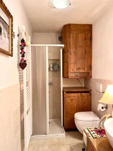 a bathroom with a shower and a toilet at Ciasa de Len Cortina in Cortina dʼAmpezzo