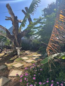 赫曼努斯Self Catering Unit 6, Sandbaai的花园里的一棵树和一些花