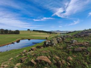 Природа в окрестностях виллы