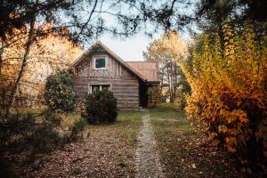 ein altes Haus mitten im Wald in der Unterkunft Dream house surrounded by silence in Milicz