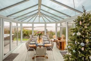 阿伯索赫Hywelfa的温室里的餐厅里摆放着一棵圣诞树