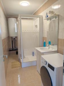 łazienka z prysznicem, umywalką i pralką w obiekcie Cosy one bed room flat at walking distance of Lux border 