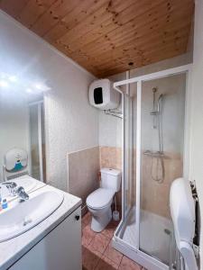 ein Badezimmer mit Dusche, Toilette und Waschbecken in der Unterkunft le primo - Château - Ville in Château-Chinon