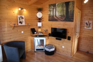 a room with a tv and a fireplace in a cabin at Ferienhaus LiRa in Drobollach am Faaker See