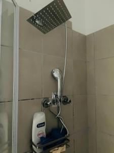 een douche met een föhn in de badkamer bij Fanieta Lagoon in Vosburg