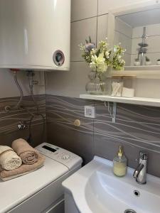 a bathroom with a sink and a toilet and a mirror at Vikendica RANKOVIĆI in Mokra Gora