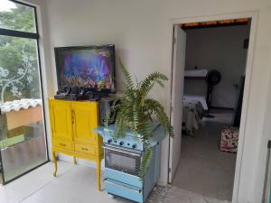 a living room with a tv and a potted plant at Fernando e Fernanda in Itupeva