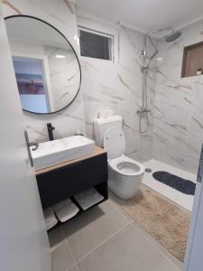 a bathroom with a toilet and a sink and a mirror at House Nevenka in Medulin